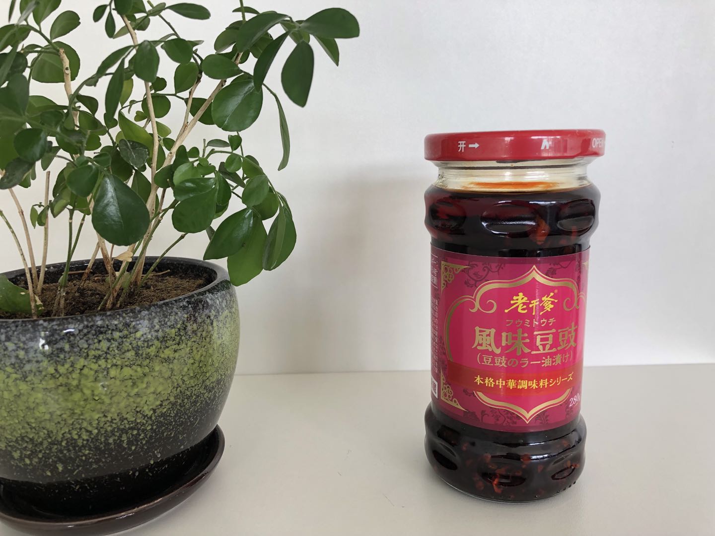 風(fēng)味豆豉